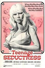 未成年诱惑Teenage Seductress(1971)插图%4K电影下载_3D影视资源_杜比视界迅雷下载