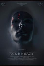 完美Perfect(2018)插图%4K电影下载_3D影视资源_杜比视界迅雷下载