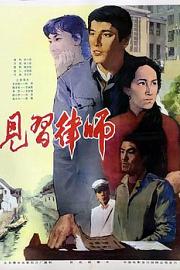 见习律师(1982)插图%4K电影下载_3D影视资源_杜比视界迅雷下载