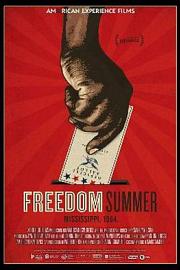 自由之夏Freedom Summer(2014)插图%4K电影下载_3D影视资源_杜比视界迅雷下载