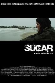 漂泊糖心Sugar(2013)插图%4K电影下载_3D影视资源_杜比视界迅雷下载