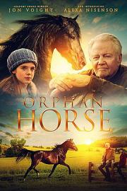 孤马Orphan Horse(2018)插图%4K电影下载_3D影视资源_杜比视界迅雷下载