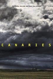 CanariesCanaries(2017)插图%4K电影下载_3D影视资源_杜比视界迅雷下载