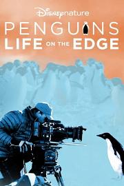 企鹅：边缘生活Penguins: Life on the Edge(2020)插图%4K电影下载_3D影视资源_杜比视界迅雷下载