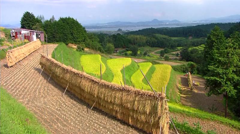 映像诗：日本里山神秘水上花园Satoyama: Japan’s Secret Water Garden(2005)插图1%4K电影下载_3D影视资源_杜比视界迅雷下载