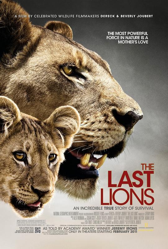 最后的狮子The Last Lions(2011)插图%4K电影下载_3D影视资源_杜比视界迅雷下载