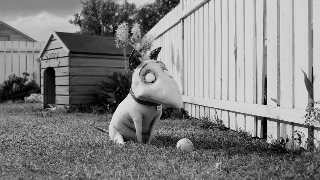 科学怪狗Frankenweenie(2012)插图1%4K电影下载_3D影视资源_杜比视界迅雷下载