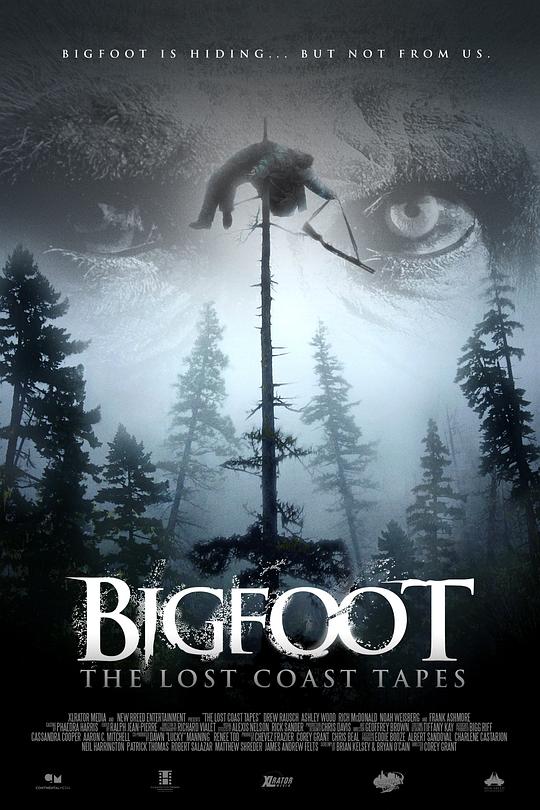 失落海岸的录像带Bigfoot: The Lost Coast Tapes(2012)插图%4K电影下载_3D影视资源_杜比视界迅雷下载