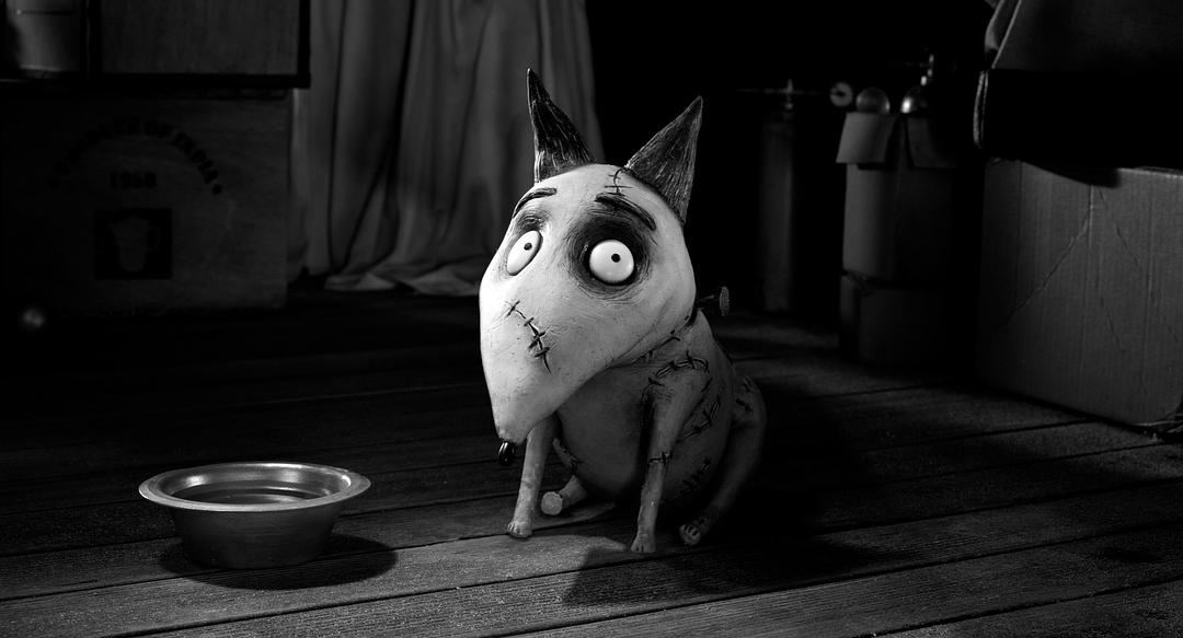 科学怪狗Frankenweenie(2012)插图2%4K电影下载_3D影视资源_杜比视界迅雷下载