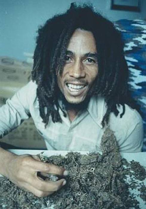 马利Marley(2012)插图1%4K电影下载_3D影视资源_杜比视界迅雷下载