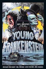 新科学怪人Young Frankenstein(1974)插图%4K电影下载_3D影视资源_杜比视界迅雷下载