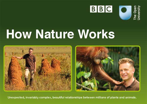 自然的运作How Nature Works: Jungle(2013)插图2%4K电影下载_3D影视资源_杜比视界迅雷下载