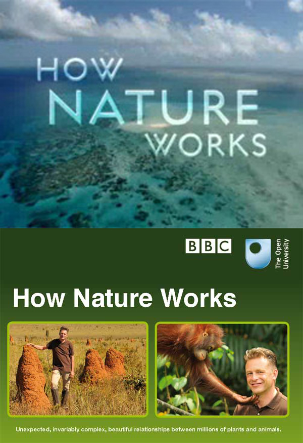 自然的运作How Nature Works: Jungle(2013)插图1%4K电影下载_3D影视资源_杜比视界迅雷下载