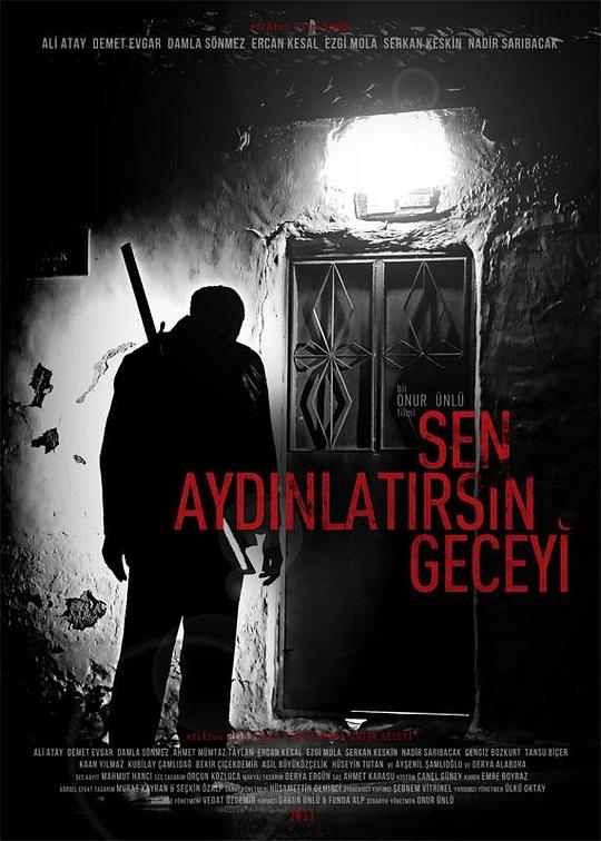 你知道夜晚Sen Aydinlatirsin Geceyi(2013)插图%4K电影下载_3D影视资源_杜比视界迅雷下载