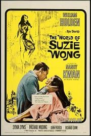 苏丝黄的世界The World of Suzie Wong(1960)插图%4K电影下载_3D影视资源_杜比视界迅雷下载