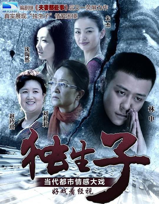 独生子Du Sheng Zi(2013)插图%4K电影下载_3D影视资源_杜比视界迅雷下载