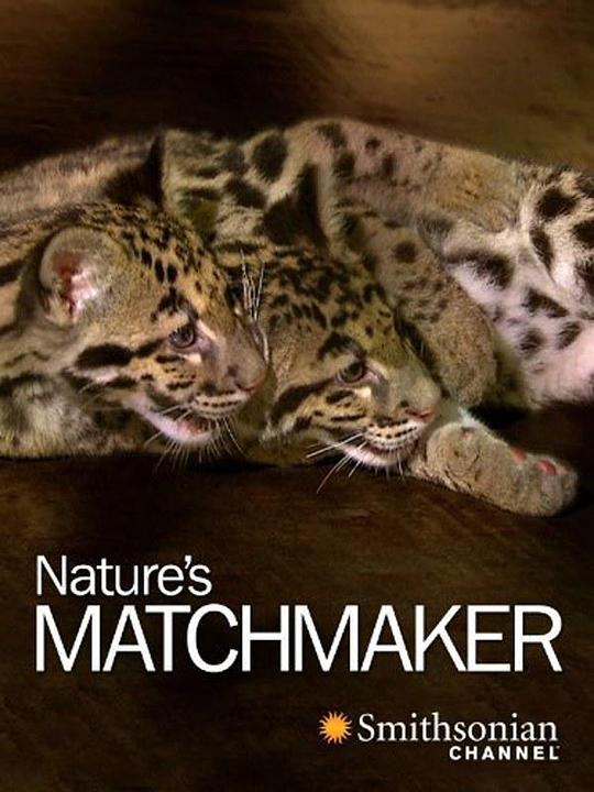 自然界的媒人Nature’s Matchmaker(2011)插图%4K电影下载_3D影视资源_杜比视界迅雷下载