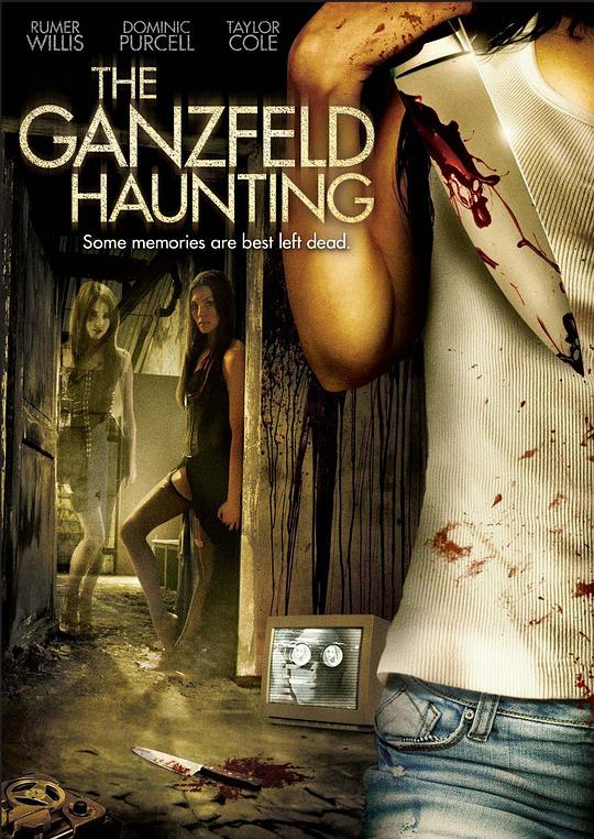 甘兹菲尔德闹鬼事件The Ganzfeld Haunting(2014)插图%4K电影下载_3D影视资源_杜比视界迅雷下载