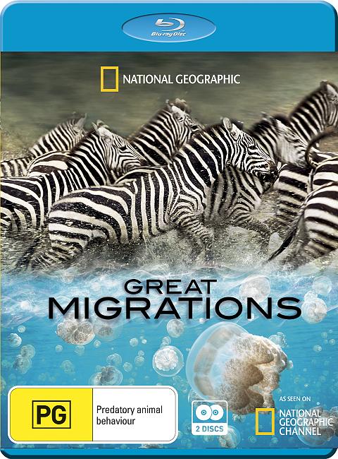 大迁徙Great Migrations(2010)插图%4K电影下载_3D影视资源_杜比视界迅雷下载