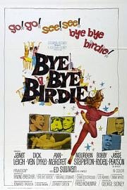 欢乐今宵Bye Bye Birdie(1963)插图%4K电影下载_3D影视资源_杜比视界迅雷下载