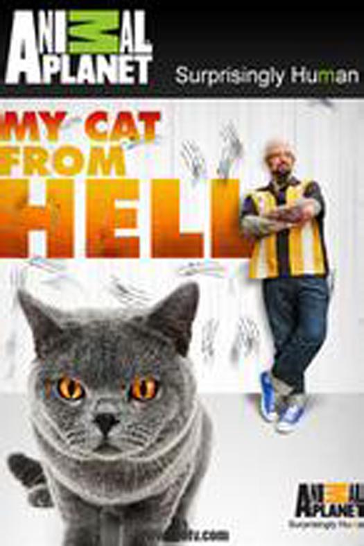 家有恶猫My Cat from Hell(2011)插图%4K电影下载_3D影视资源_杜比视界迅雷下载