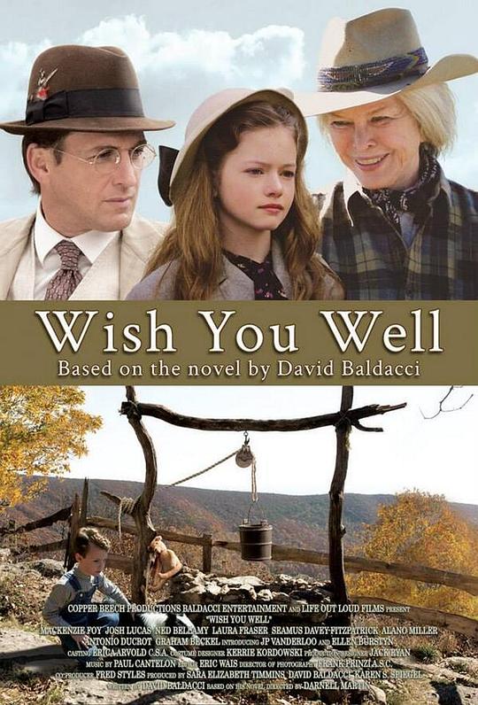 愿你一切安好Wish You Well(2013)插图%4K电影下载_3D影视资源_杜比视界迅雷下载