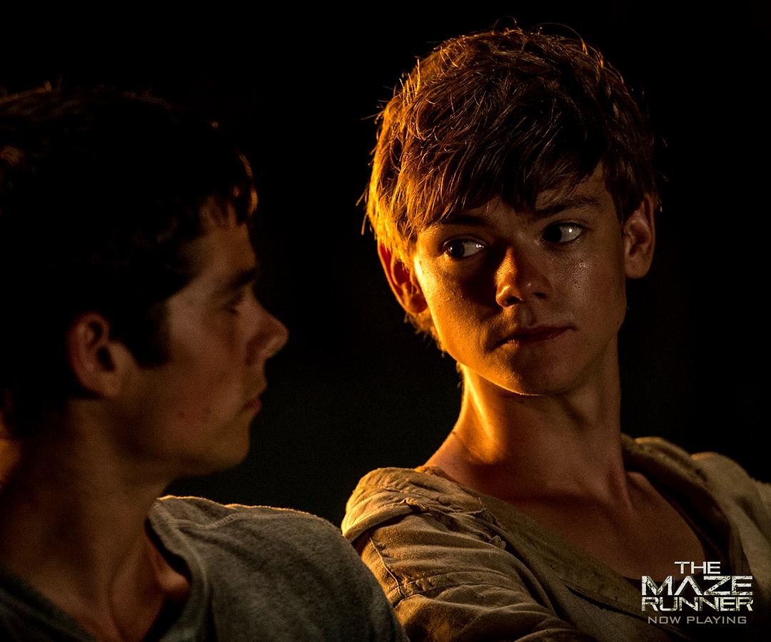 移动迷宫The Maze Runner(2014)插图2%4K电影下载_3D影视资源_杜比视界迅雷下载