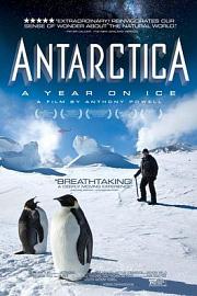 南极洲：冰上的一年Antarctica: A Year on Ice(2013)插图%4K电影下载_3D影视资源_杜比视界迅雷下载