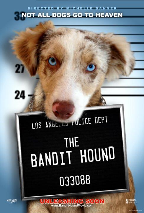 猎犬强盗The Bandit Hound(2016)插图%4K电影下载_3D影视资源_杜比视界迅雷下载