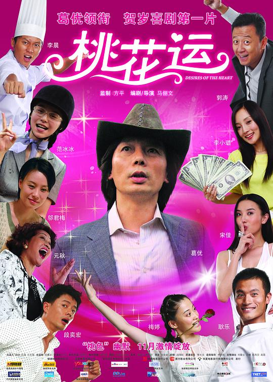 桃花运Desires of the Heart(2008)插图%4K电影下载_3D影视资源_杜比视界迅雷下载