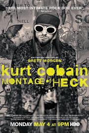 科特·柯本：烦恼的蒙太奇Cobain: Montage of Heck(2015)插图%4K电影下载_3D影视资源_杜比视界迅雷下载