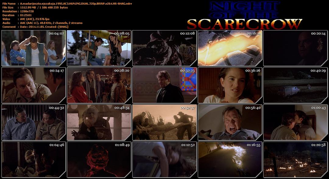 猛鬼夜惊魂Night of the Scarecrow(1995)插图1%4K电影下载_3D影视资源_杜比视界迅雷下载