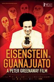 爱森斯坦在瓜纳华托Eisenstein in Guanajuato(2015)插图%4K电影下载_3D影视资源_杜比视界迅雷下载