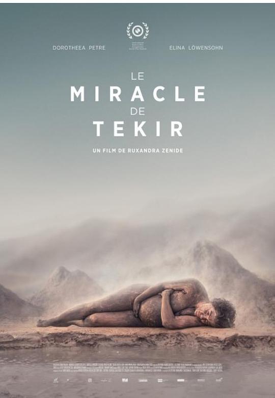 泰克尔的奇迹Miracolul din Tekir(2015)插图%4K电影下载_3D影视资源_杜比视界迅雷下载