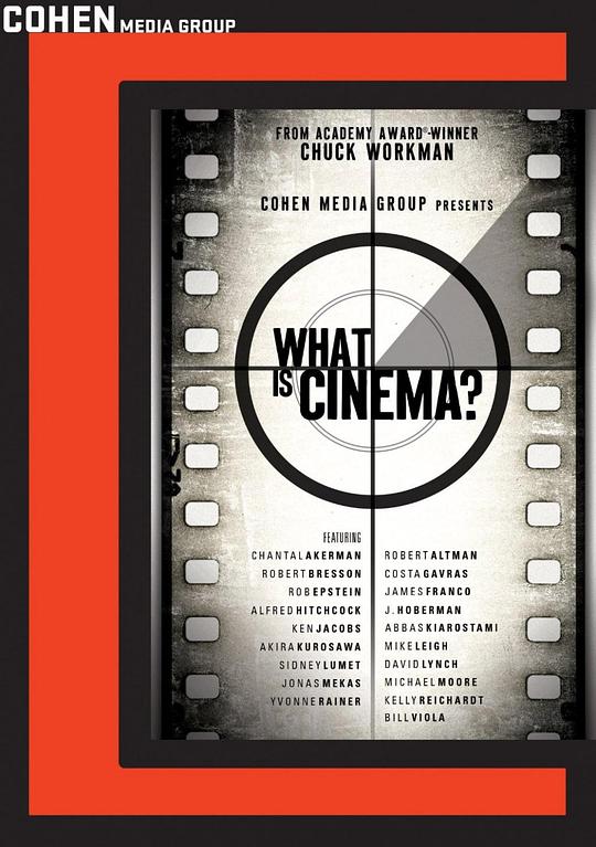 什么是电影？What Is Cinema?(2013)插图%4K电影下载_3D影视资源_杜比视界迅雷下载