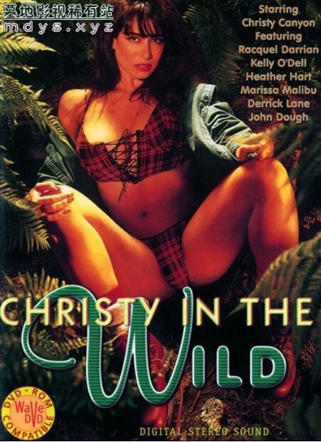 克里斯蒂在野外Christy in the Wild(1993)插图%4K电影下载_3D影视资源_杜比视界迅雷下载