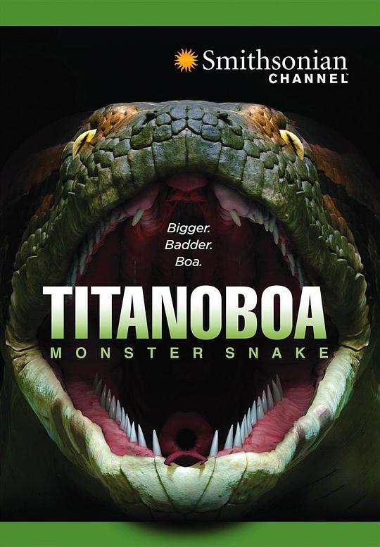 泰坦巨蟒Titanoboa: Monster Snake(2012)插图%4K电影下载_3D影视资源_杜比视界迅雷下载