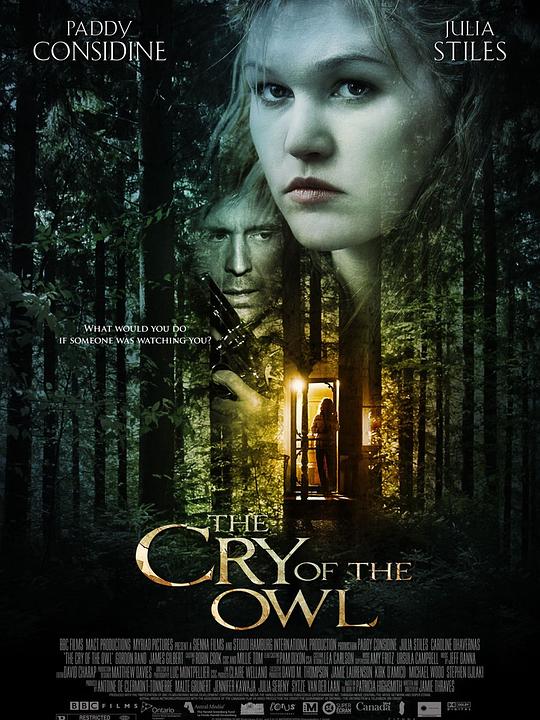 猫头鹰的哭泣The Cry of the Owl(2009)插图%4K电影下载_3D影视资源_杜比视界迅雷下载