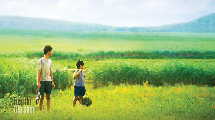 绿地黄花Yellow Flowers on the Green Grass(2015)插图1%4K电影下载_3D影视资源_杜比视界迅雷下载