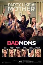 坏妈妈Bad Moms(2016)插图%4K电影下载_3D影视资源_杜比视界迅雷下载