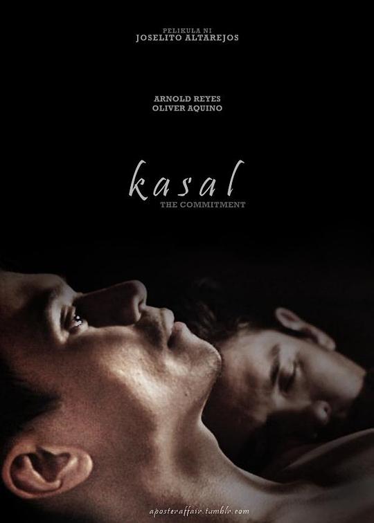 卡萨尔Kasal(2015)插图%4K电影下载_3D影视资源_杜比视界迅雷下载