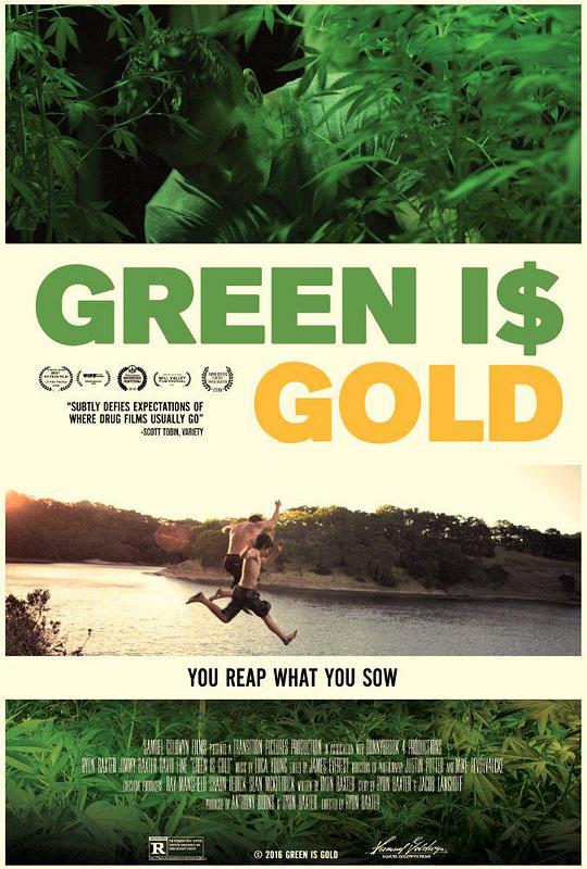 少年毒枭Green is Gold(2016)插图%4K电影下载_3D影视资源_杜比视界迅雷下载