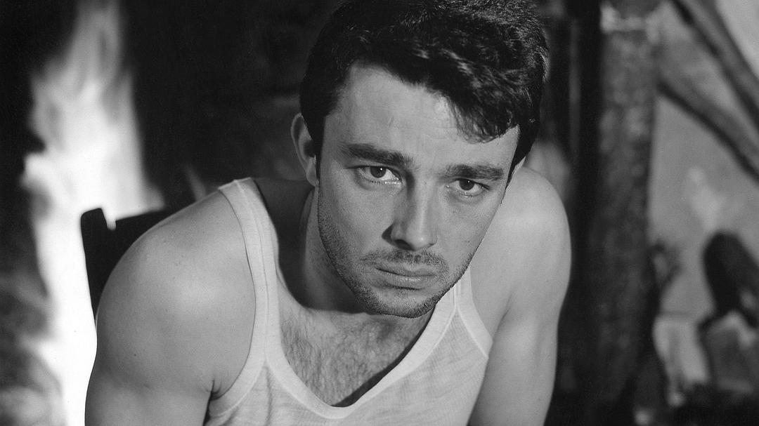 漂亮的塞尔吉Le beau Serge(1958)插图2%4K电影下载_3D影视资源_杜比视界迅雷下载