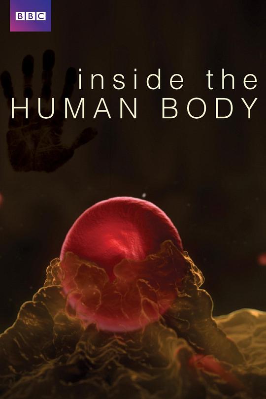 人体奥秘Inside the Human Body(2011)插图%4K电影下载_3D影视资源_杜比视界迅雷下载