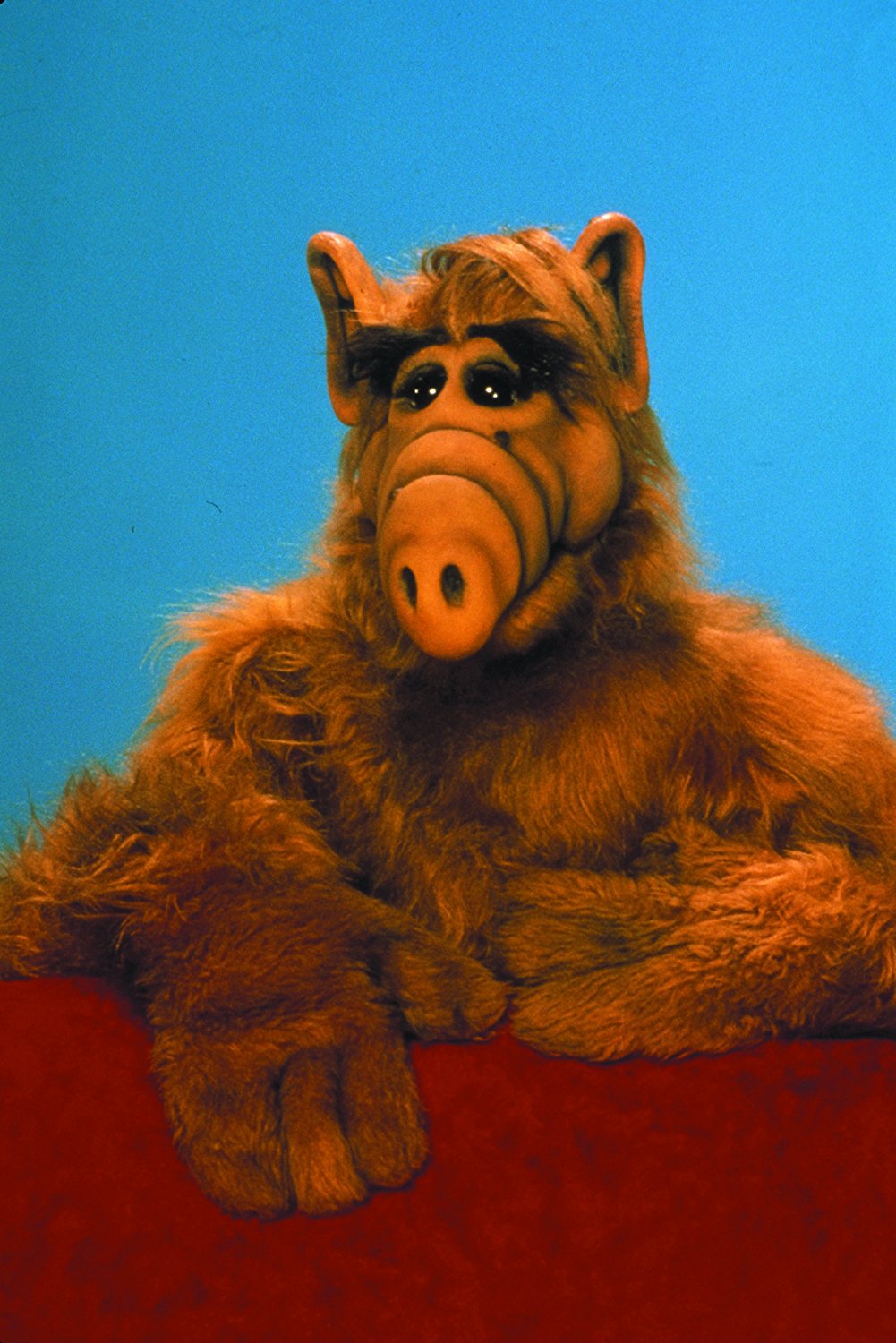 家有阿福ALF(1986)插图2%4K电影下载_3D影视资源_杜比视界迅雷下载