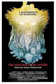 时光倒流三十年The Watcher in the Woods(1980)插图%4K电影下载_3D影视资源_杜比视界迅雷下载