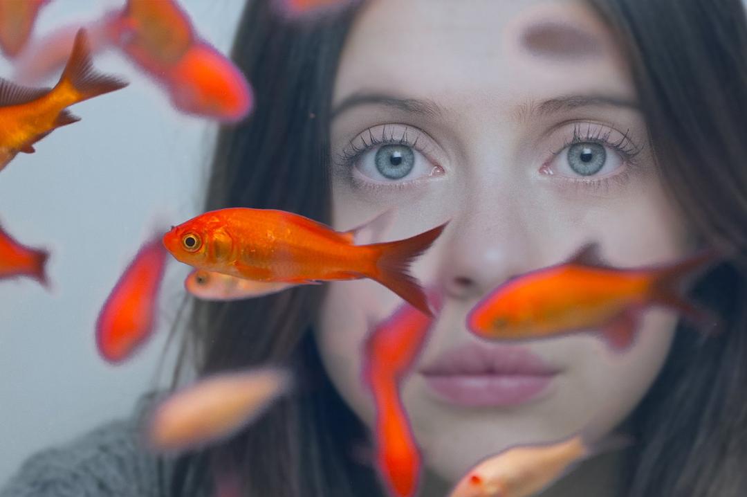 哈佛少女的快乐清单Carrie Pilby(2016)插图2%4K电影下载_3D影视资源_杜比视界迅雷下载