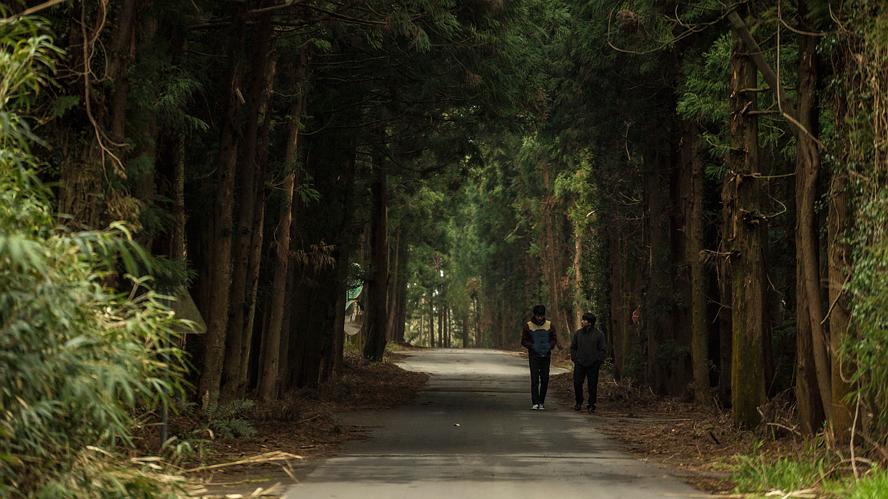 诗人的爱The Poet and the Boy(2017)插图2%4K电影下载_3D影视资源_杜比视界迅雷下载