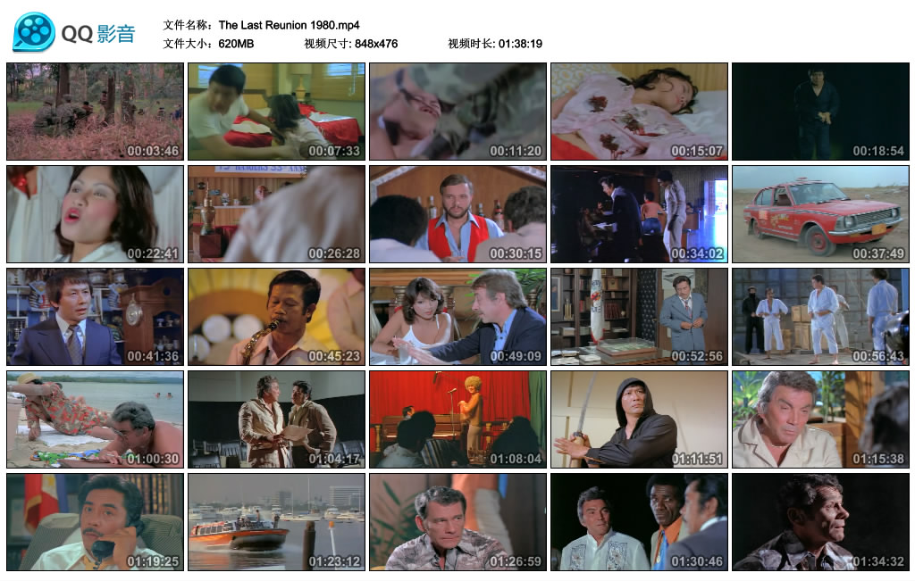 The Last ReunionThe Last Reunion(1980)插图1%4K电影下载_3D影视资源_杜比视界迅雷下载