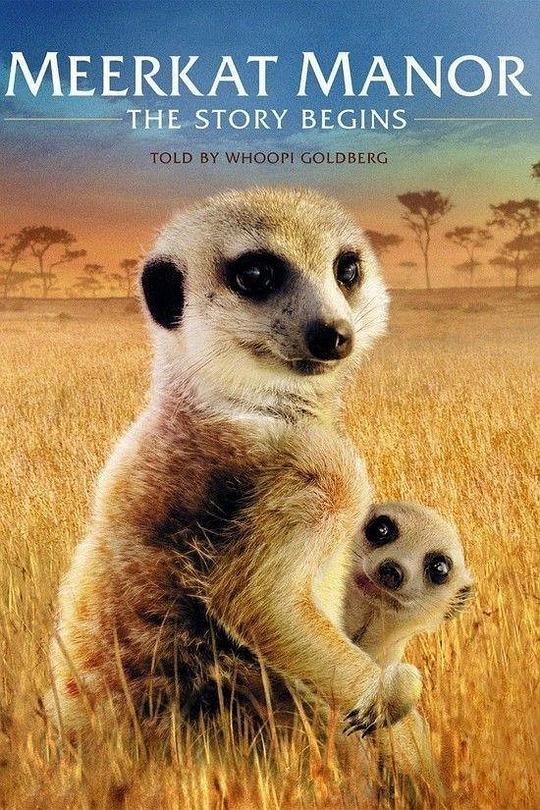 蒙哥一家的故事Meerkat Manor: The Story Begins(2008)插图%4K电影下载_3D影视资源_杜比视界迅雷下载